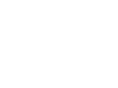 Don't Let It Fall's logo